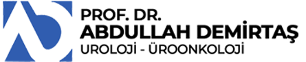 Prof. Dr. Abdullah Demirtaş Logo